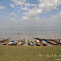 Fisher boats, Matian haor, Sunamganj