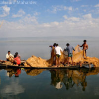 Fishing in Matian haor, Sunamganj