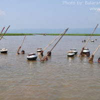 Fishing with push net, Matian haor, Sunamganj