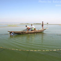 Fishing with Seine net, Thapna beel, Tahirpur, Sunamganj