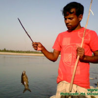 Fisherman showing a captured kalbaus