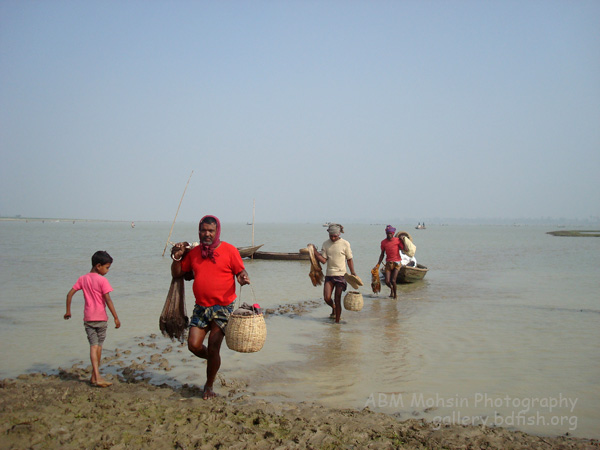 Beauty and Fisheries Activities of Beel Kumari
