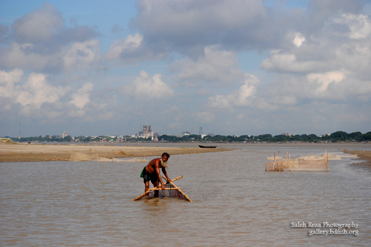 Winter Fishing at the River Padma, Rajshahi (পদ্মা নদীতে শীতকালীন মাছ শিকার)