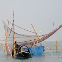 Lift Net Fishing
