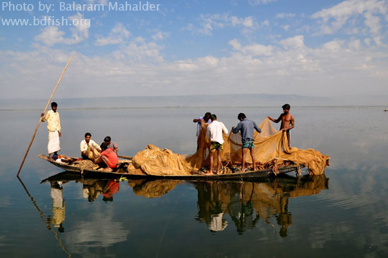 Beauty of Haor at Sunamganj: as a Fisheries Hotspot